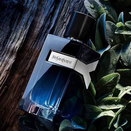 Yves Saint Laurent Y Eau de Parfum